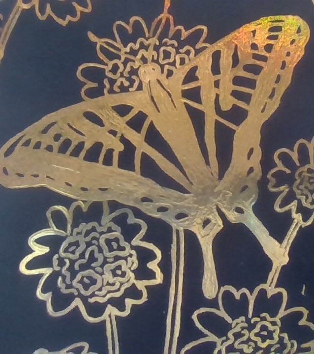 Butterfly