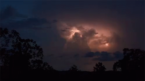Book 4: Every Life is Beautiful